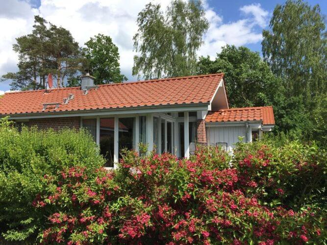 Holiday Home Mueritzhus On The Mueritz Marienfelde Eksteriør billede